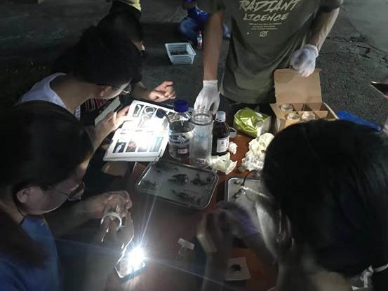 播散绿色中国“种子”——mk官方网站_mk(中国)生命科学与医药学院开展暑期社会实践 微信图片_20210728135813